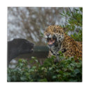 Suche nach jaguar an fliesen Schwarzpanther