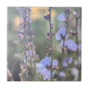 Suche nach blaß fliesen Blume