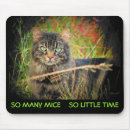 Suche nach etwas weniger lustig mousepads Katzen