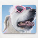 Suche nach tierköpfe mousepads Haustiere