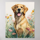 Suche nach golden retriever poster Goldwandkunst