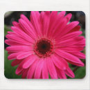 Suche nach rosa gerbera mousepads Gänseblümchen