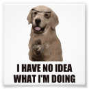 Suche nach lustiger labrador poster Hund