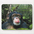 Suche nach primat mousepads Gefährdete arten