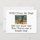 Suche nach toto Für alle