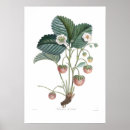 Suche nach gardening poster Vintage