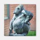 Suche nach gorillas magnete Natur