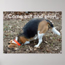 Suche nach beagles poster Jagd