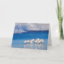 Suche nach strandvogel Ozean