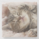 Suche nach babytier untersetzer Katze