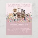 Suche nach niedliche flyer Hund