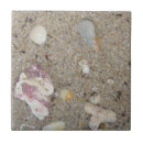 Suche nach strand muscheln fliesen Sommer