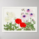 Suche nach ranunculus poster Blume