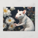 Suche nach ratten postkarten Niedlich