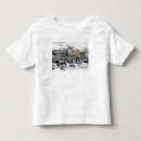 Suche nach projektion tshirts Die antarktis