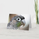 Suche nach qual postkarten Niedlich