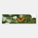 Suche nach fritillary Flügel