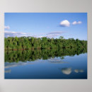 Suche nach tropen poster Regenwald