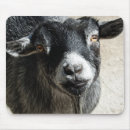 Suche nach ziege mousepads Bauernhof