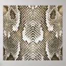 Suche nach python poster Rosa