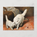 Suche nach persische katze postkarten Vintag