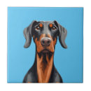 Suche nach brauner hund fliesen Lustig