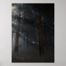 Suche nach magische nacht poster Mystisch