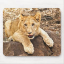 Suche nach nimmt mousepads Katze