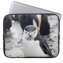 Suche nach penguin laptop schutzhüllen Wild