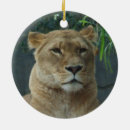 Suche nach löwin ornamente Katzen