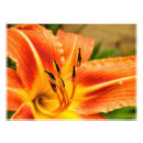 Suche nach pollen poster Blume