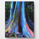 Suche nach hawaii fotoplatten Für alle