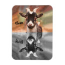 Suche nach lustige ziegen magnete Jede person