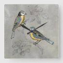 Suche nach aviary kunst Inländisch