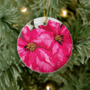 Suche nach poinsettias ornamente Botanisch