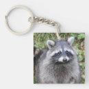 Suche nach niedlicher raccoon schlüsselanhänger Tier