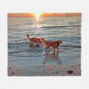 Suche nach goldene retriever decken Meer