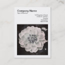 Suche nach chrysantheme visitenkarten Modern