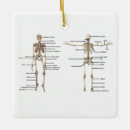 Suche nach medizinstudenten ornamente Doktor