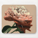 Suche nach weiße rose mousepads Botanisch
