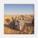 Suche nach dünen magnete Landschaft