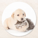 Suche nach coole katze untersetzer Niedlich