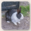 Suche nach kaninchen untersetzer Haustiere
