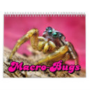 Suche nach käfer kalender Spinne