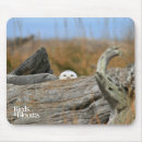 Suche nach eulen foto mousepads Vogelbeobachtung