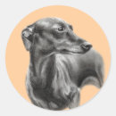 Suche nach whippet aufkleber Haustiere