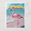 Suche nach florida flamingo postkarten Strand