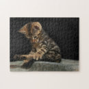 Suche nach schwanz puzzle Puzzlespiel