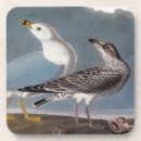 Suche nach möven untersetzer Vögel von amerika