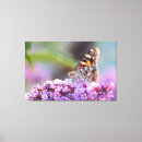Suche nach fliedern leinwandbilder Schmetterling